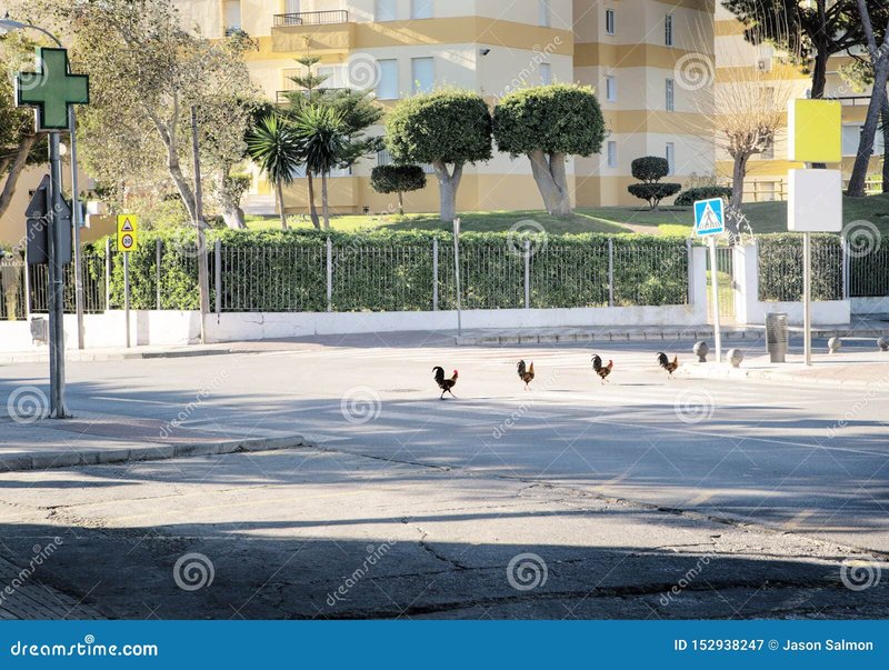 Spain - chicken road